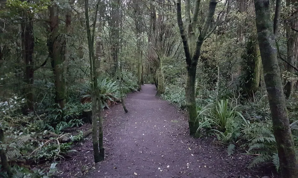 Kereru, Tui & Komako, Southland