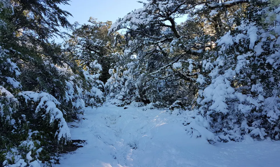 Mt Richardson Rippa, Canterbury