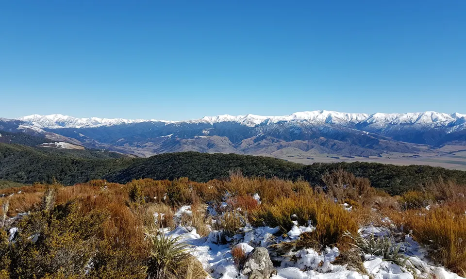 Mt Richardson Rippa, Canterbury