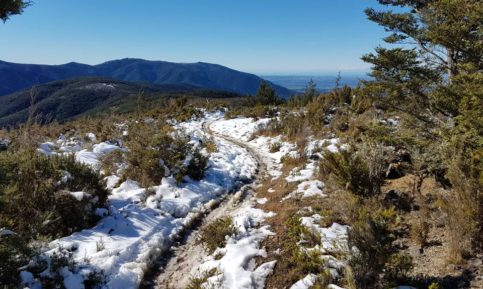 Mt Richardson Rippa, Canterbury