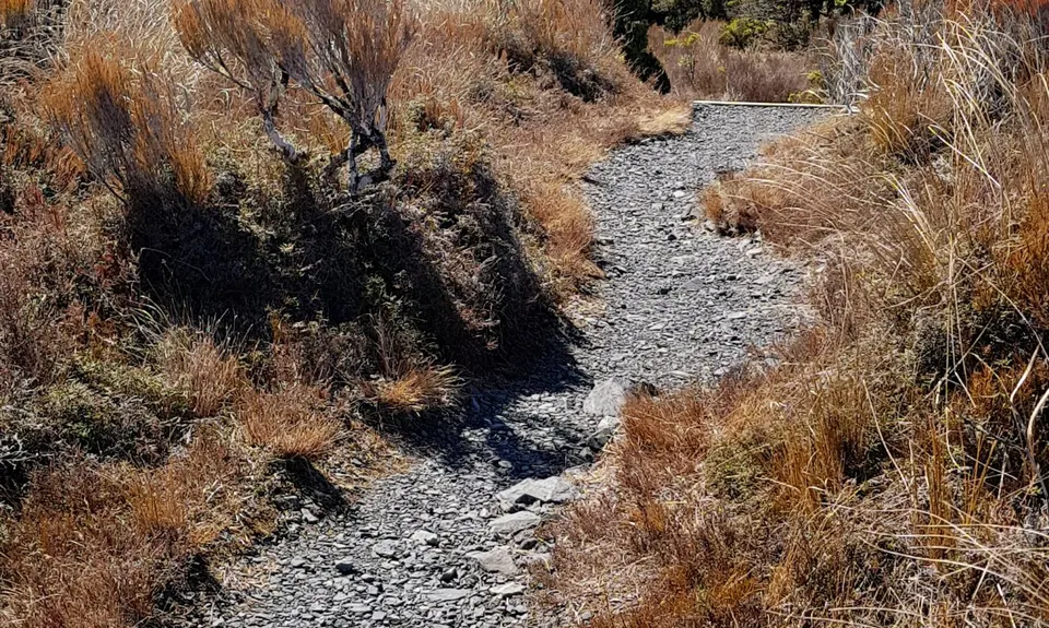 Whakapapaiti Loop, Manawatu - Wanganui