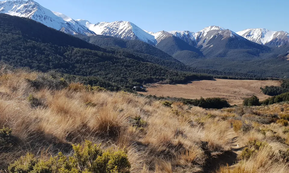Hogsback Track, Canterbury