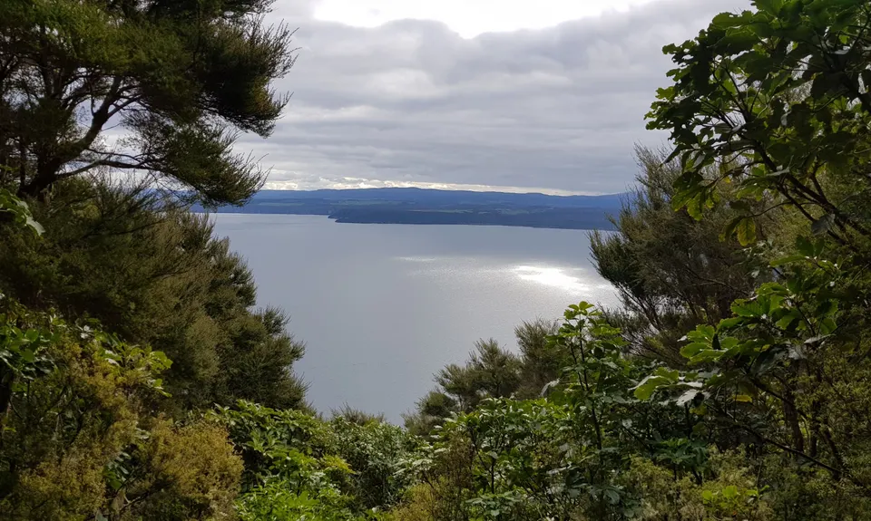 W2K, Waikato