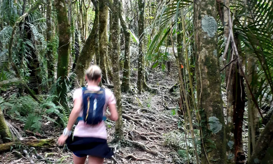Hakarimata Traverse , Waikato