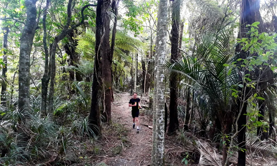 Hakarimata Traverse , Waikato