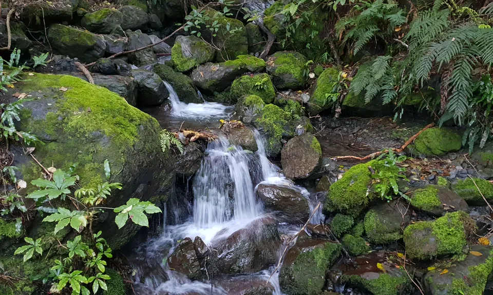 Mt Fyffe Walkway, Canterbury