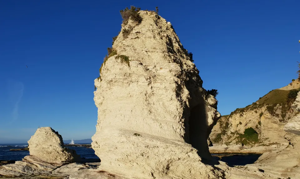 Kaikoura Cracker, Canterbury