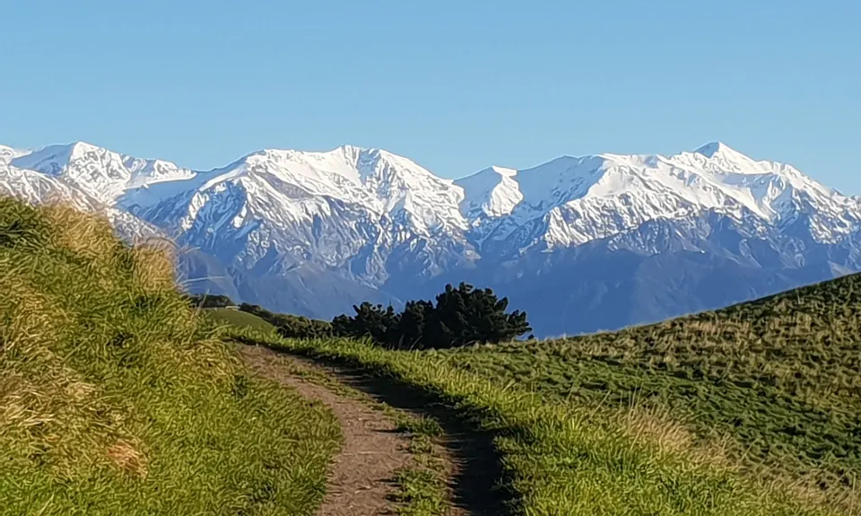 Kaikoura Cracker, Canterbury