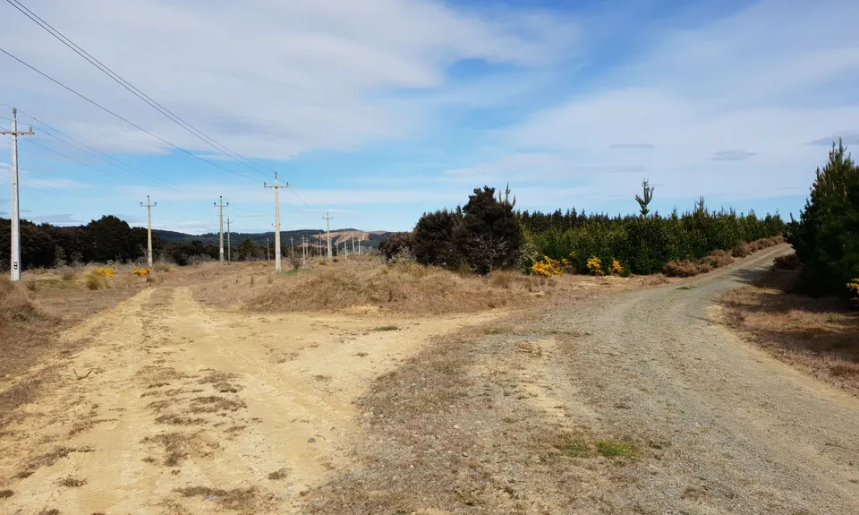 Waipori Falls Government Track, Otago