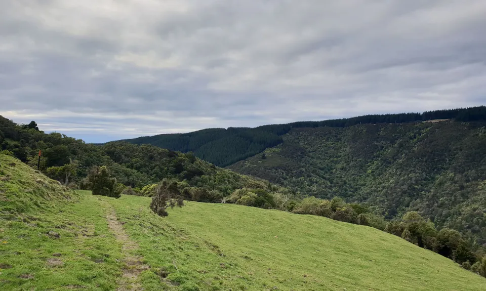 Waipori Falls Government Track, Otago