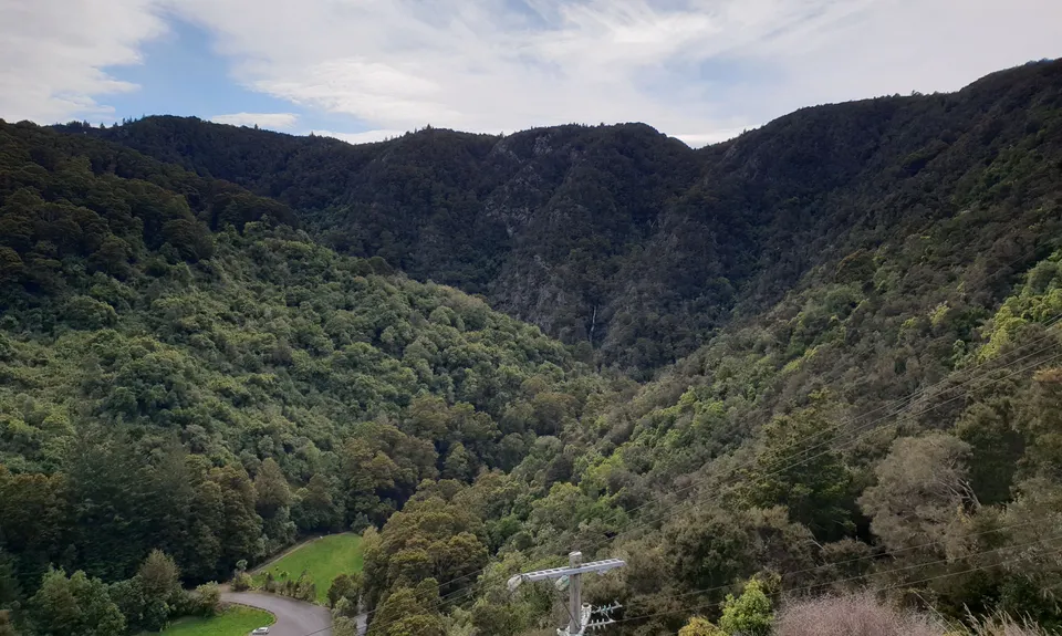 Waipori Falls Government Track, Otago
