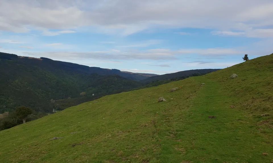 Waipori Falls Government Track, Otago