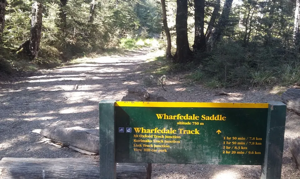 Mt Oxford - Wharfedale Track, Canterbury