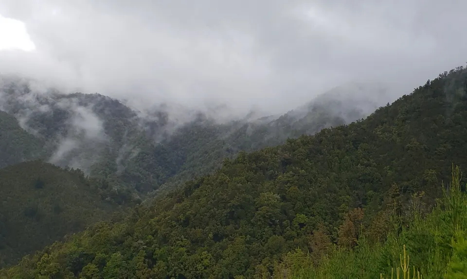 Serpentine Hackett Loop, Tasman
