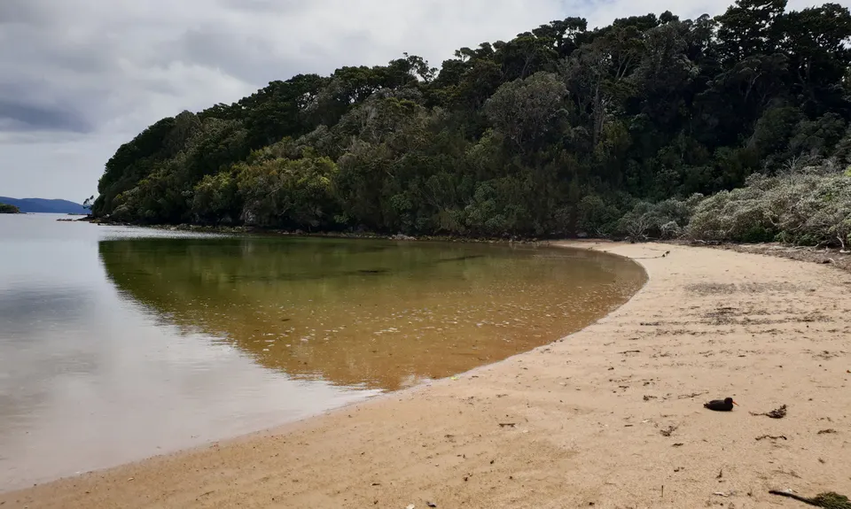 Ultimate Ulva, Southland