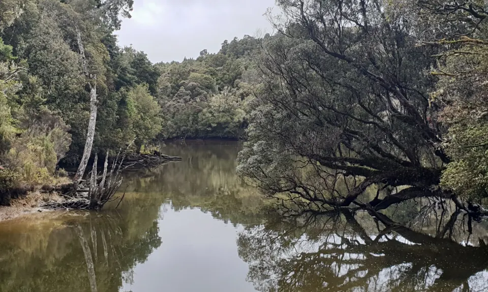 Rakiura Track, Southland