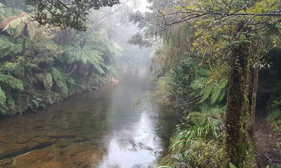 Wairere Falls, Waikato