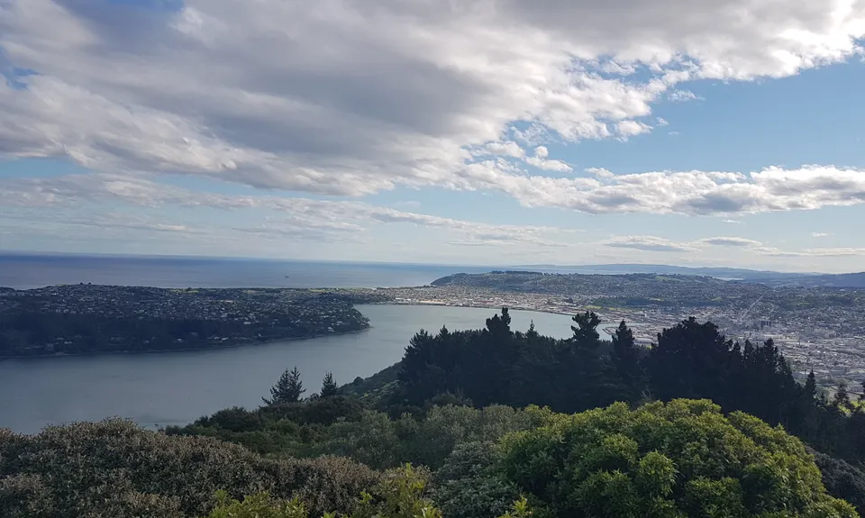 Signal Hill Big Easy, Otago