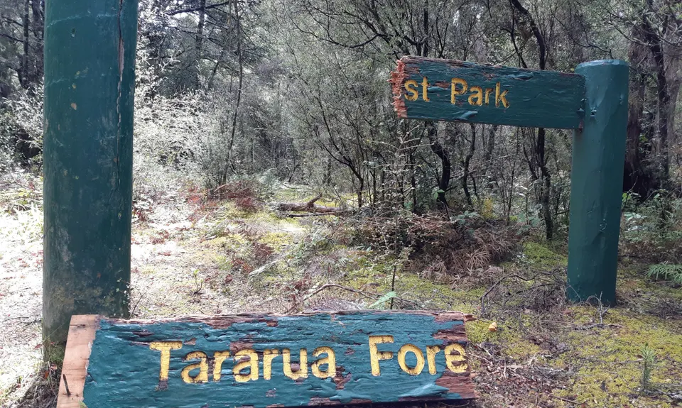 Kaituna to Holdsworth Lodge, Wellington