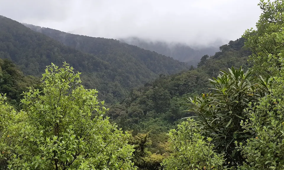 Kaituna to Holdsworth Lodge, Wellington