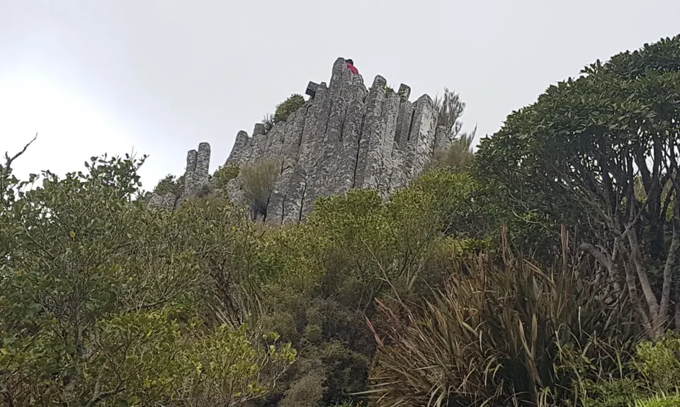 Mt Cargill and Organ Pipes, Otago