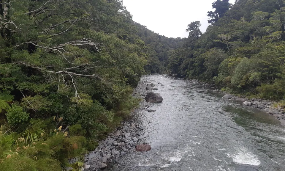 Kaituna to Holdsworth Lodge, Wellington