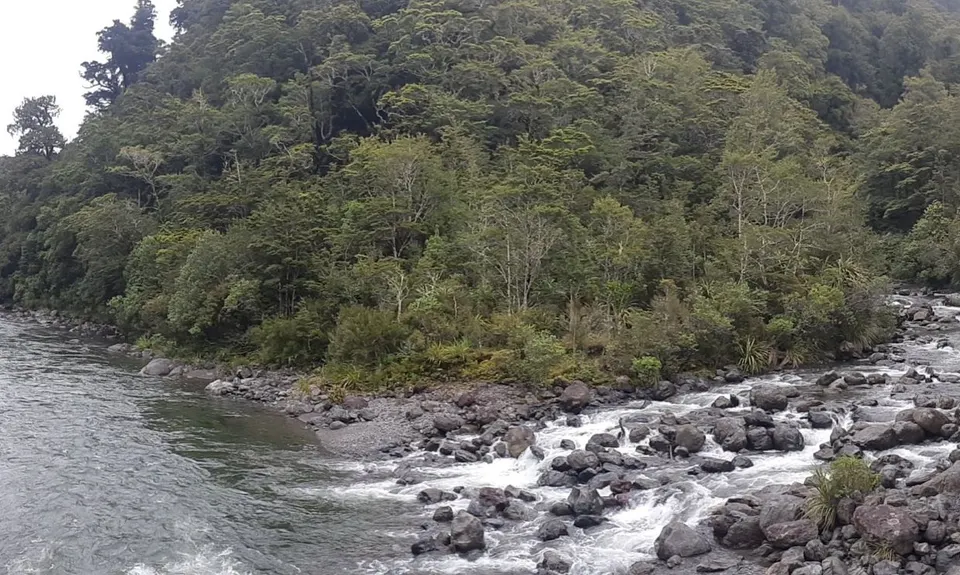 Kaituna to Holdsworth Lodge, Wellington