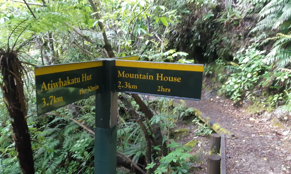 Kaituna to Holdsworth Lodge, Wellington