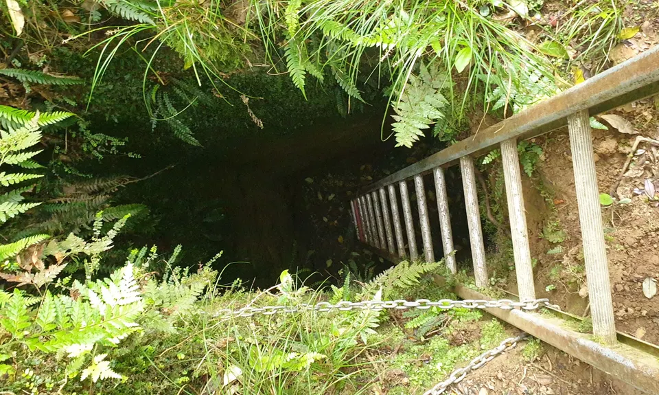 Sledge Track with Toetoe Loop & Otangane Loop, Manawatu - Wanganui