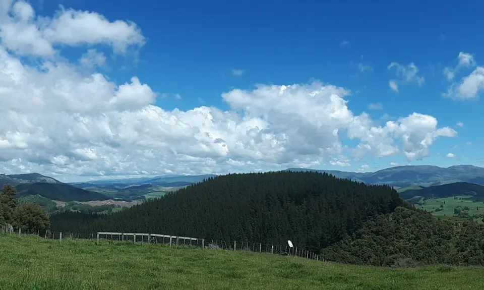 Tutira trig, Hawkes Bay
