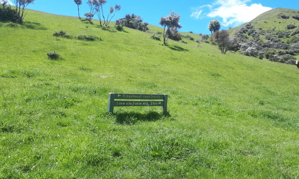 Tutira trig, Hawkes Bay