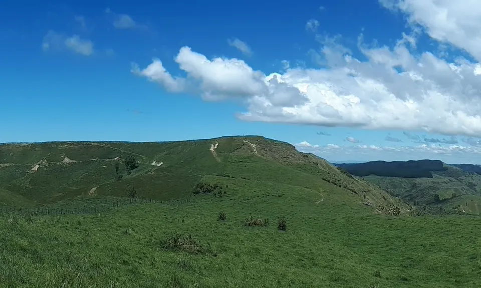 Tutira trig, Hawkes Bay