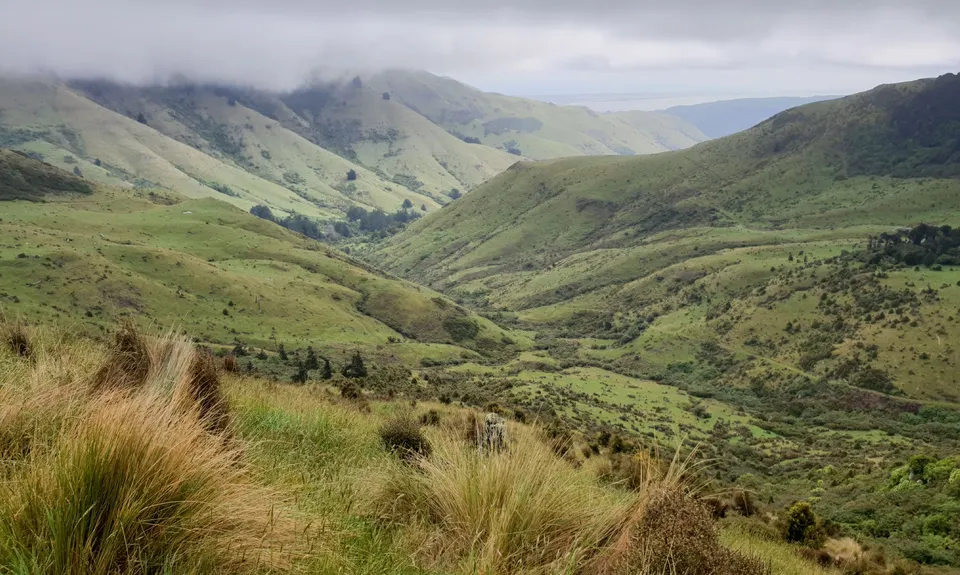Kaituna Grande Loop, Canterbury