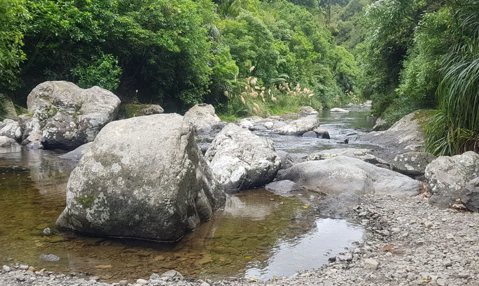 Sledge Track with Toetoe Loop & Otangane Loop, Manawatu - Wanganui