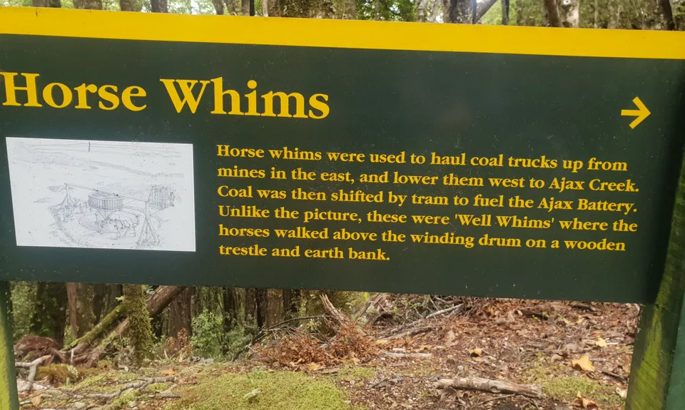 Murray Creek / Konini Track Loop, West Coast