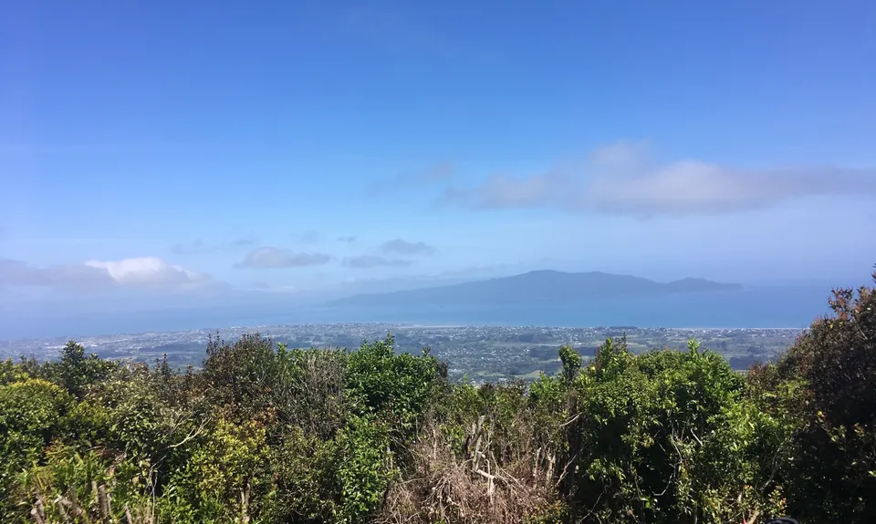 The Whole Hemi, Wellington