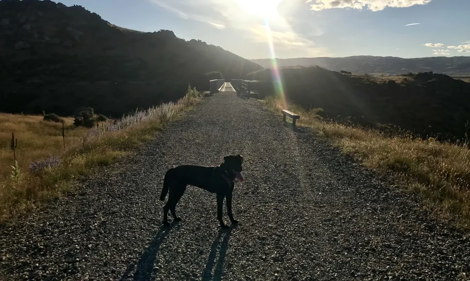Lauder Auripo Return, Otago