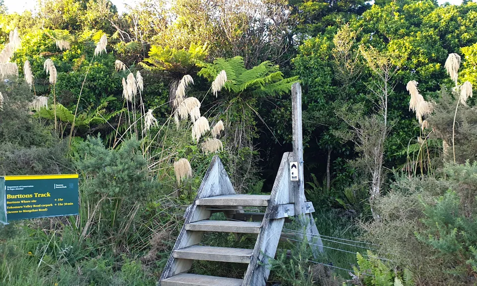 Burrton's Track Return, Manawatu - Wanganui