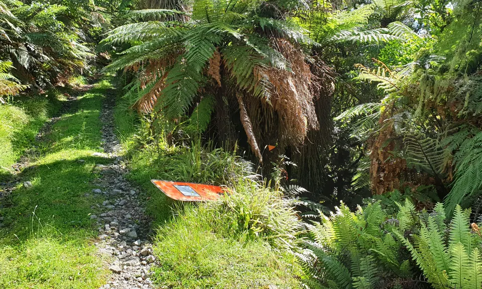 Burrton's Track Return, Manawatu - Wanganui