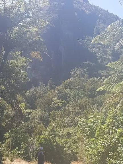 Castle Rock , Waikato