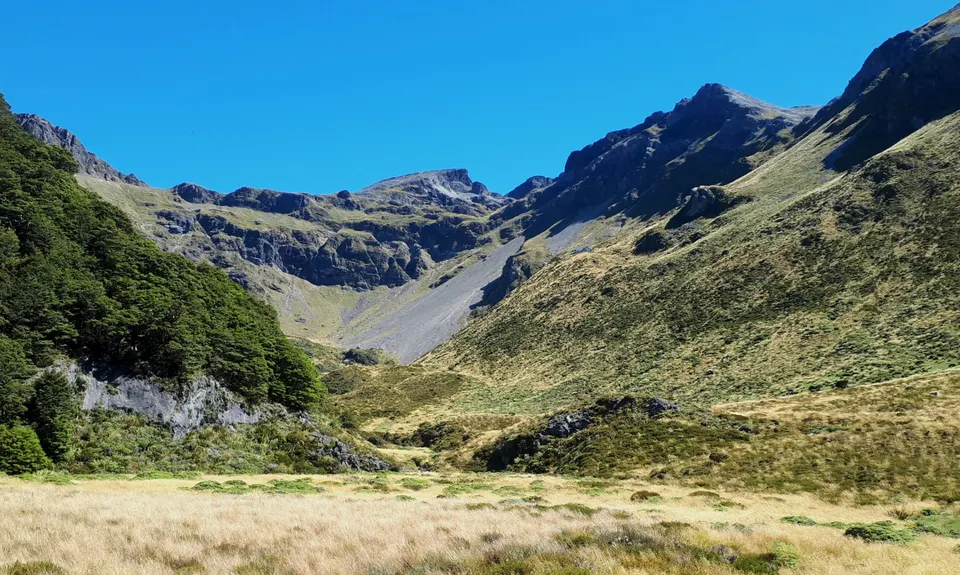 The Ellis, Tasman