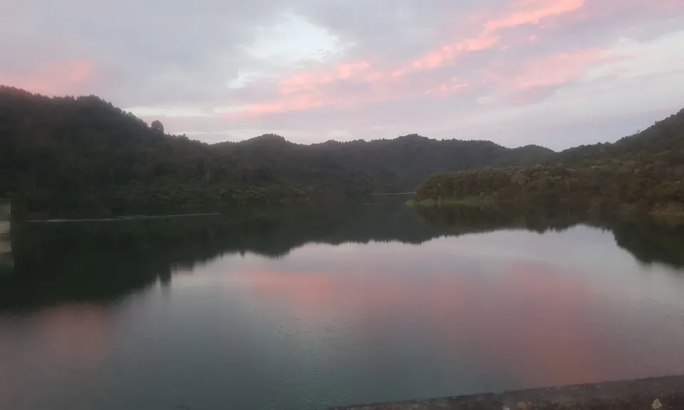 Wairoa Suspension Loop, Auckland