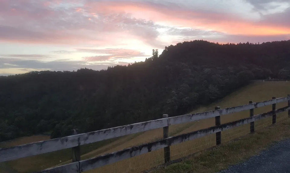 Wairoa Suspension Loop, Auckland
