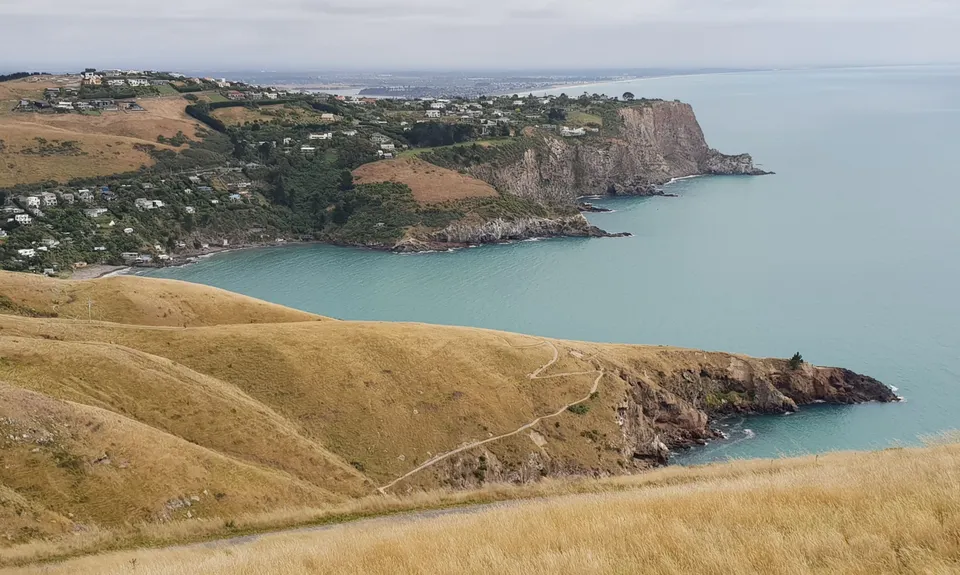 Sumner Half Heads, Canterbury