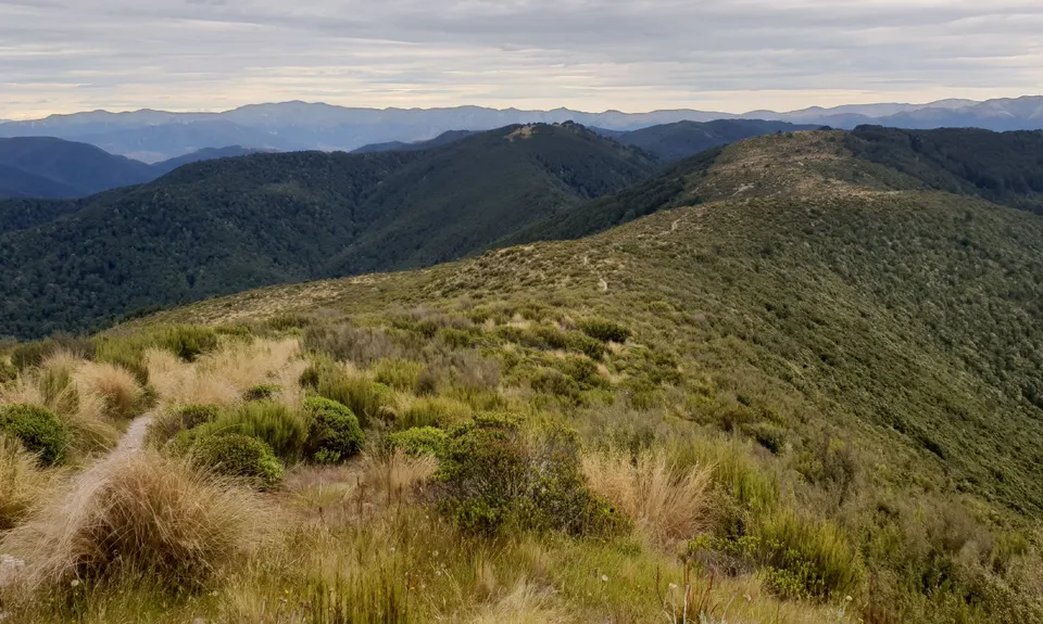Mt Thomas Routes and Ridges, Canterbury