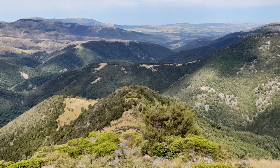 Mt Thomas Routes and Ridges, Canterbury