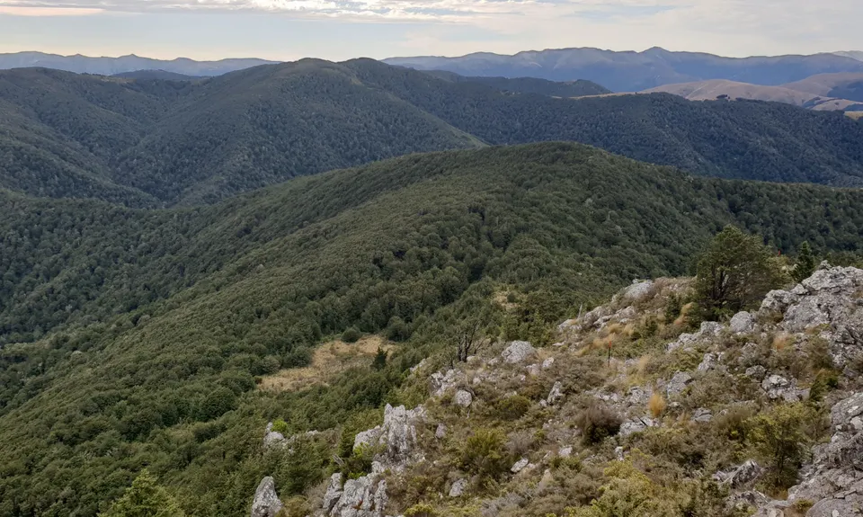 Mt Thomas Routes and Ridges, Canterbury