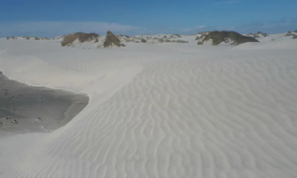 Farewell Spit Loop, Tasman