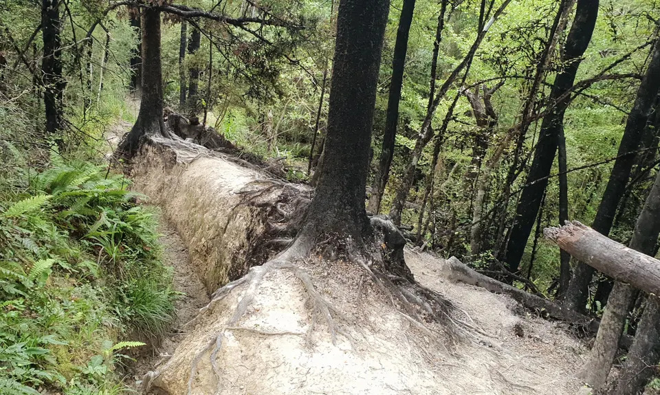 Mt Richardson Rippa, Canterbury
