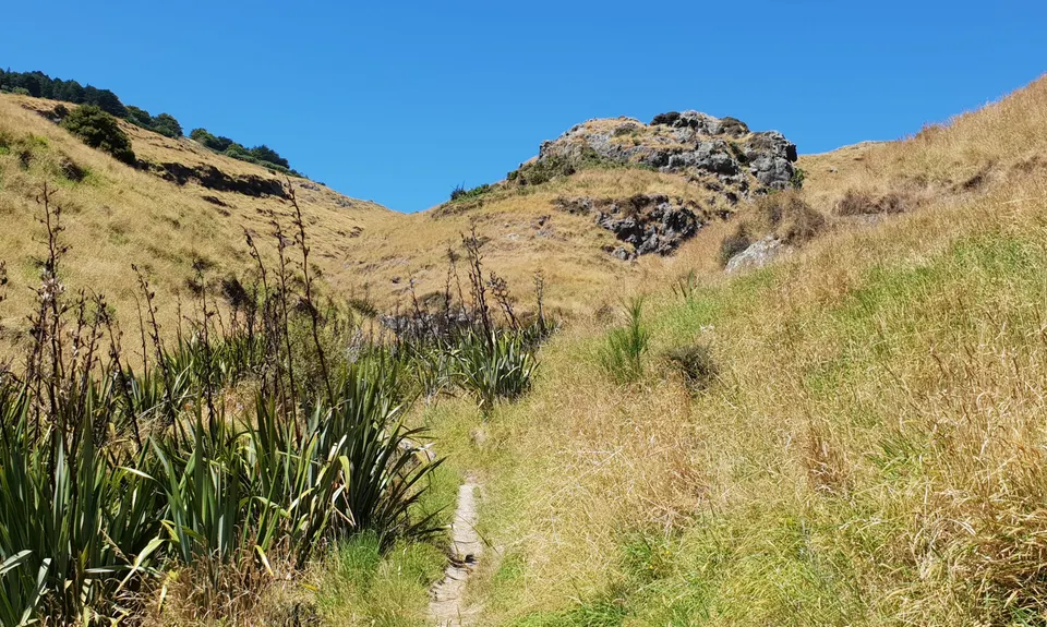 Bowenvale / Huntsbury Loop, Canterbury